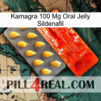 Kamagra 100Mg Oral Jelly Sildenafil new01